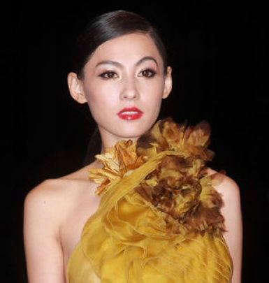 张柏芝最新,数据科学解析说明_颠覆版94.909