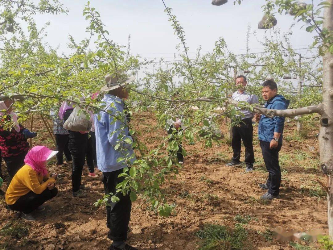 最新婷婷,仿真方案实施_社交版94.959