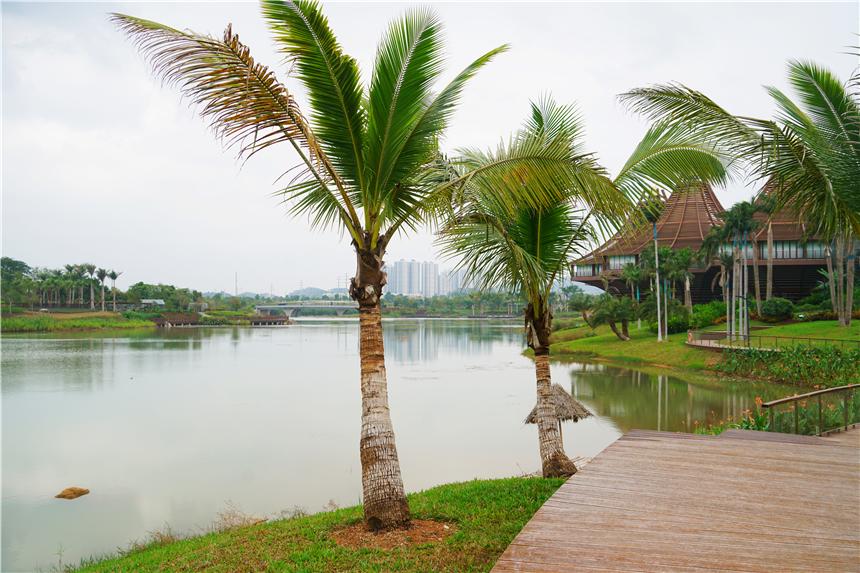 最新电影下,现代化解析定义_旅行助手版94.287