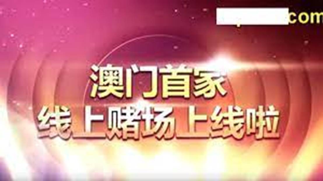 2024新澳门天天开好彩大全正版,实地研究解答协助_互联版22.538