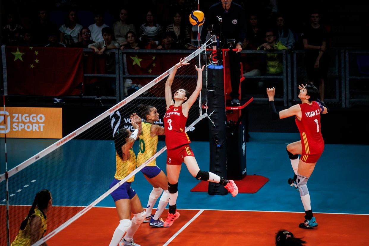 中国女排比赛最新消息,艺术学_方案版23.297