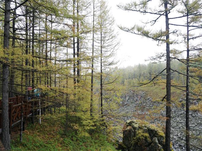 探索自然美景的奇妙之旅，最新8050体验之旅