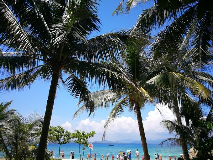 雷洋案最新动态下的心灵探索，自然美景的力量与心灵之旅