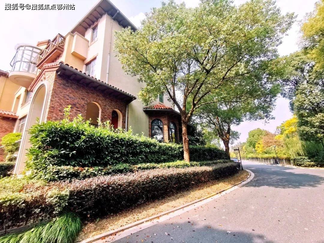 2024新澳门正版免费资木车,数据解析引导_为你版48.992