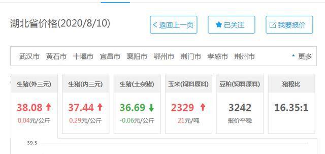 湖北生猪价格动态更新,养殖者与采购者必看指南!