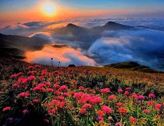 九福来最新动态,自然美景探险之旅,探寻内心的平和宁静