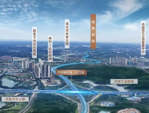 天府新区楼盘最新动态,热土变迁与梦想启航