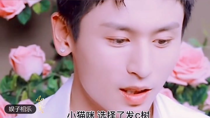 2025新澳门正版资料大全视频,实证分析详细枕_服务器版13.857