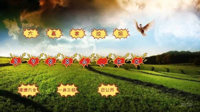 S2B2X电商体系 第209页