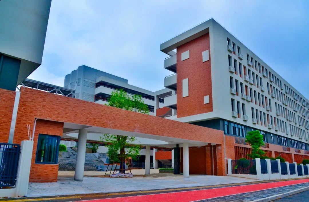 2025新澳资料大全免费,实地数据评估分析_娱乐版15.192