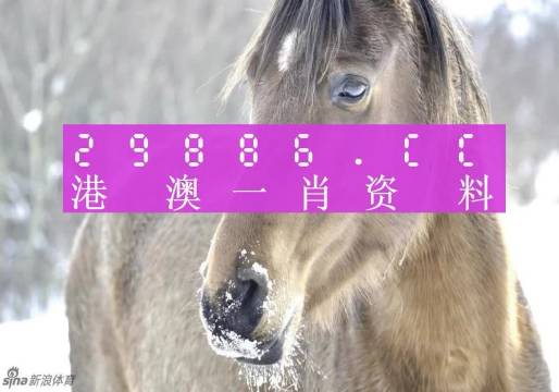 澳门一肖一码100%正确答案,科学分析严谨解释_确认版15.108