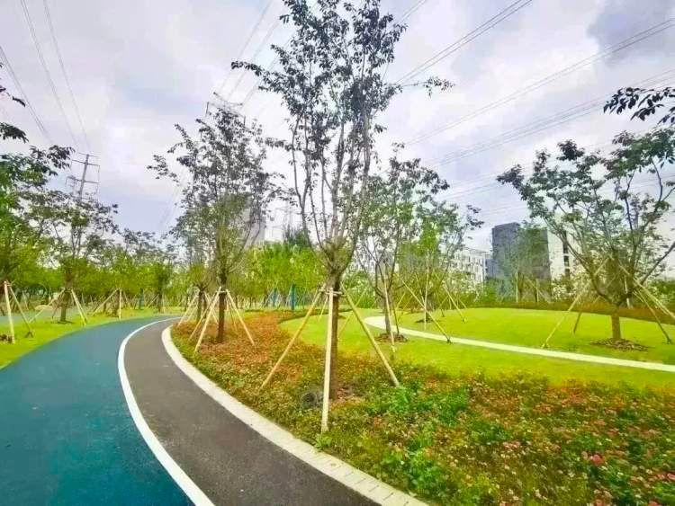 铁路改革重塑交通动脉,推动国家发展新征程