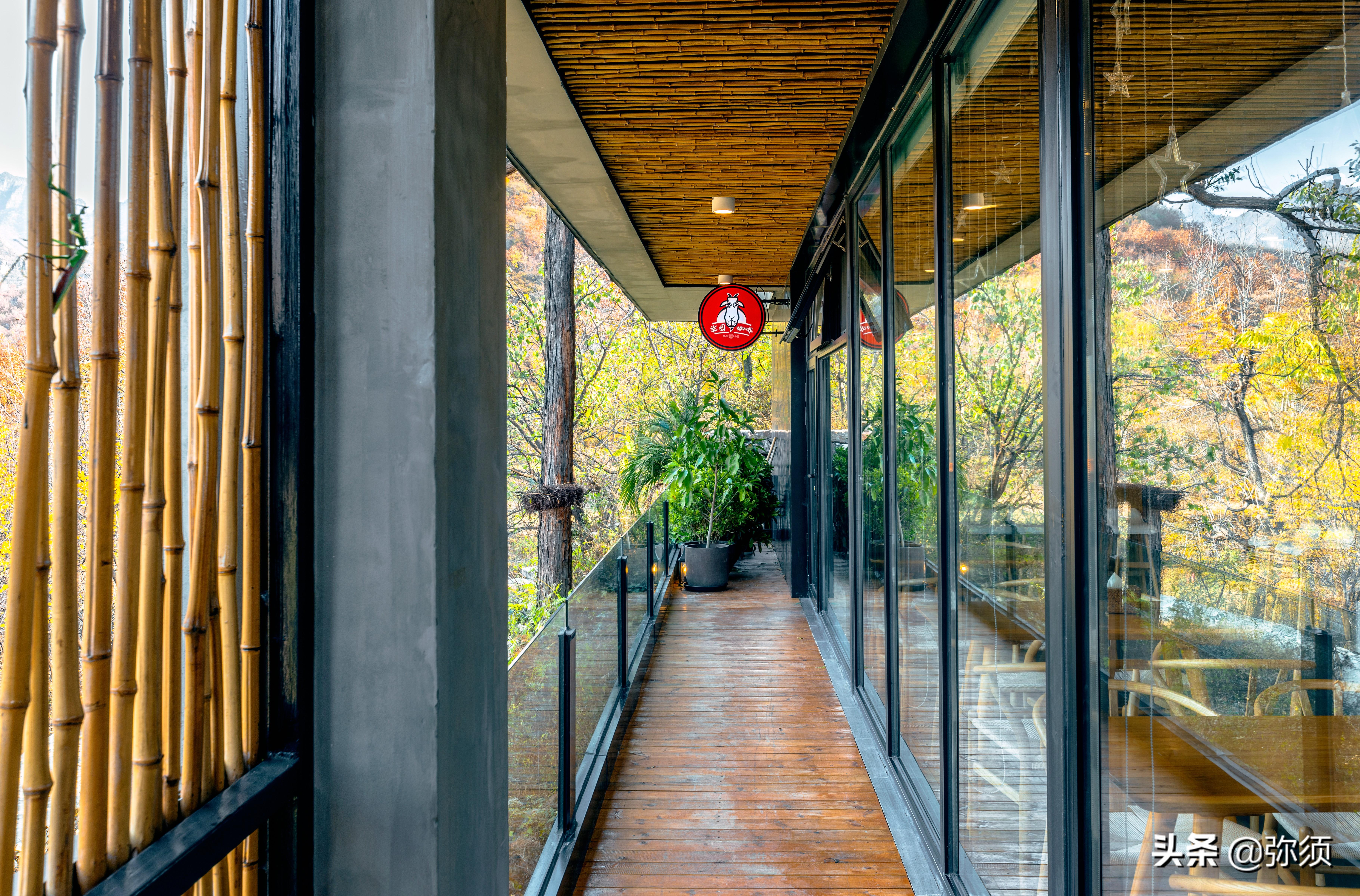 探索小巷中的隐藏宝藏,最新样板房的独特环境与秘密