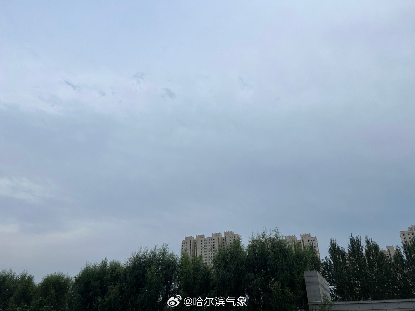 肇东最新天气,风云变幻中的城市气象实录