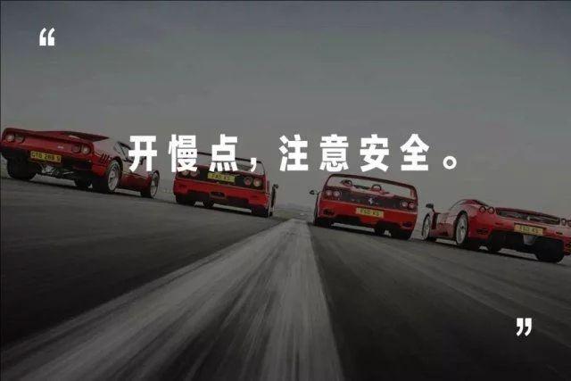 老鼠最新出装,游戏中的温情陪伴与策略选择