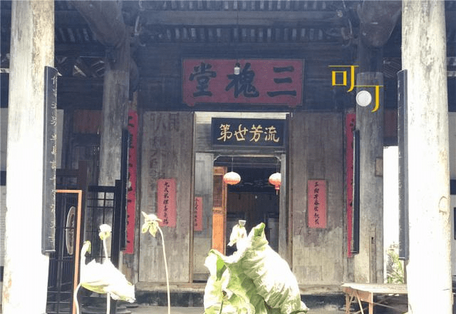 琼明神女录最新,小巷神秘特色小店探秘