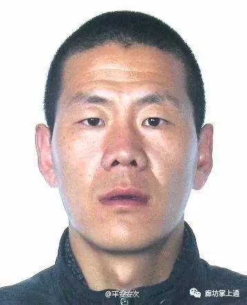 武清通最新动态更新,最新消息汇集