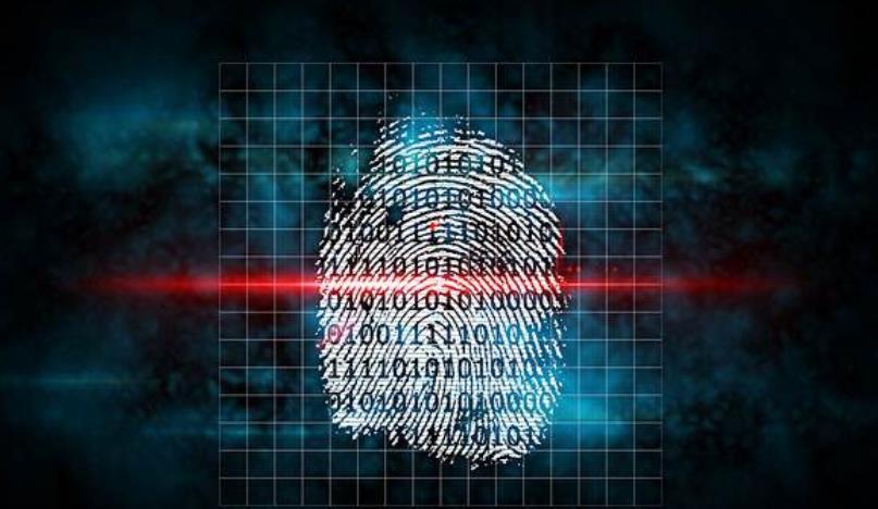 丹邦科技,科技新星璀璨闪耀