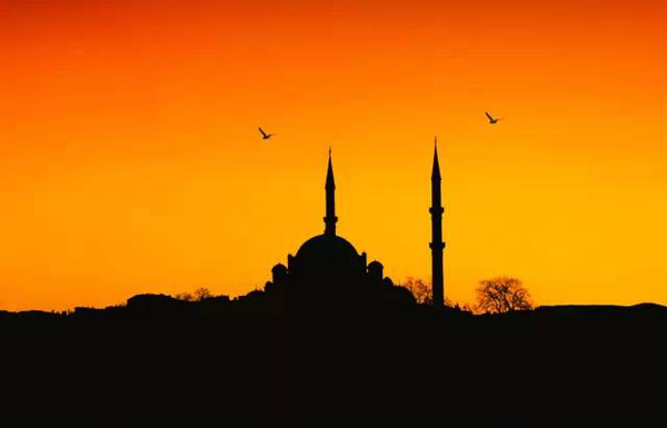 时代背景下的影像艺术探索,最新伦里片赏析