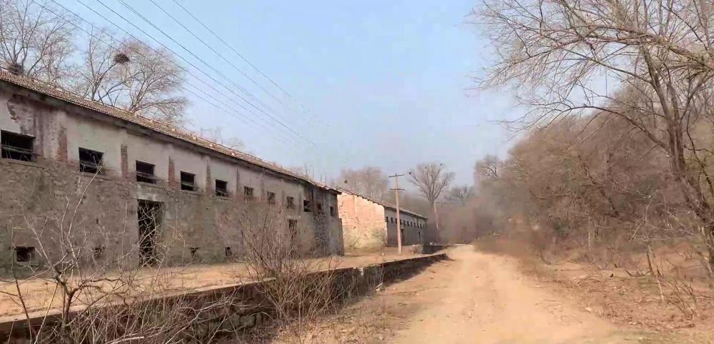 镍的最新消息,小巷深处的独特小店探秘之旅