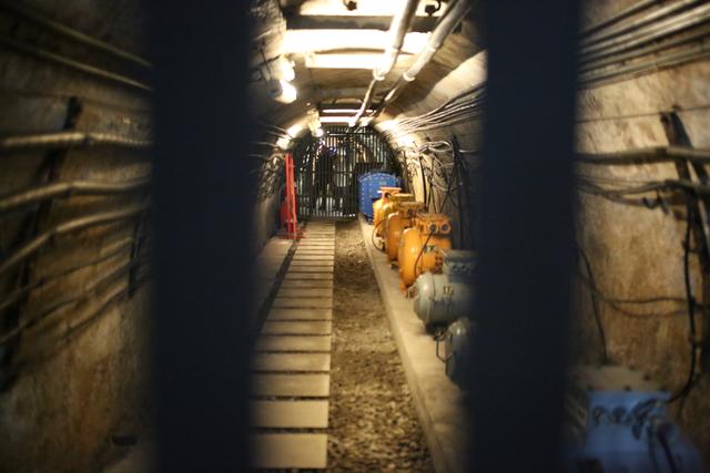 镍的最新消息,小巷深处的独特小店探秘之旅