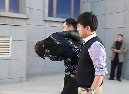 西宁房屋出租最新信息及概览