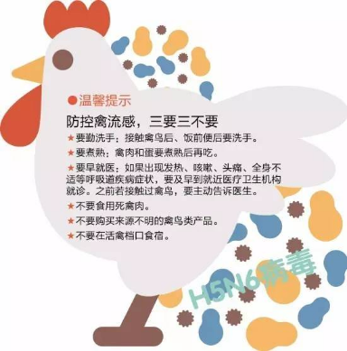 江苏禽流感最新动态更新📢禽鸟疫情关注焦点