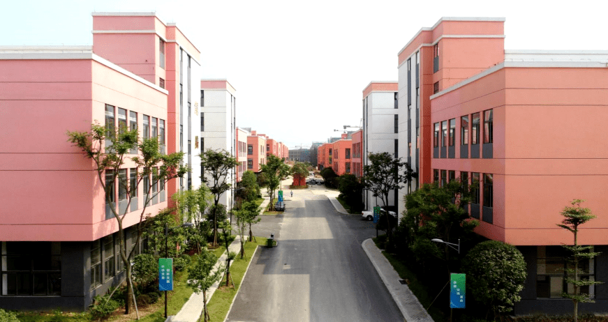 应流集团最新动态及小巷独特风味探索之旅揭秘