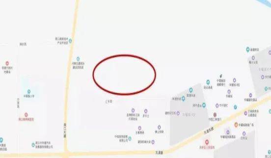 周口荷花市场全面指南与最新消息详解