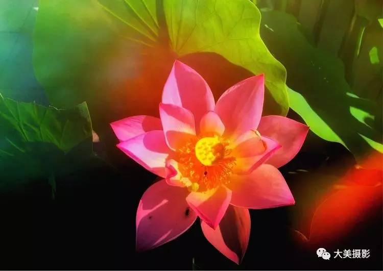 S2B2X电商体系 第216页