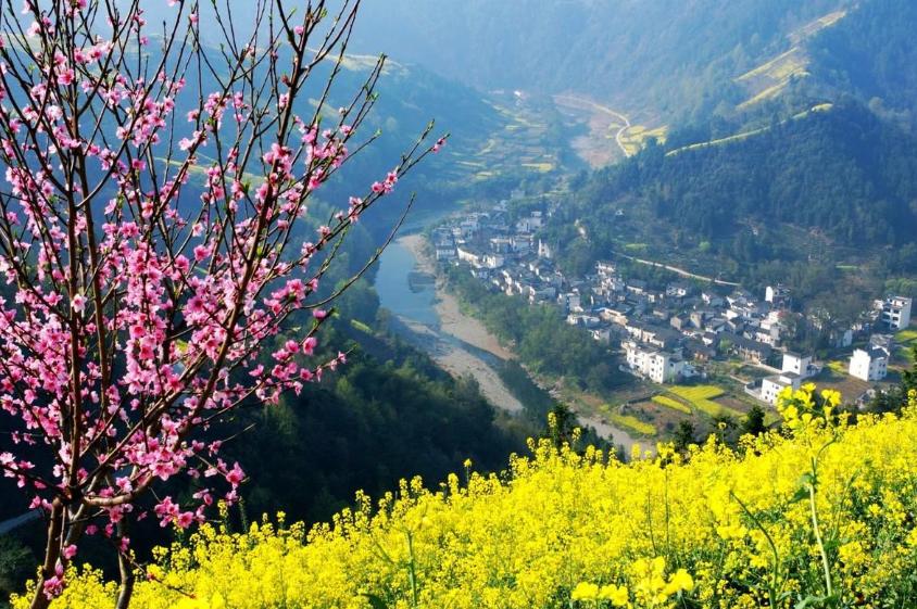 两面针最新动态揭秘,小巷深处的独特风味探秘之旅