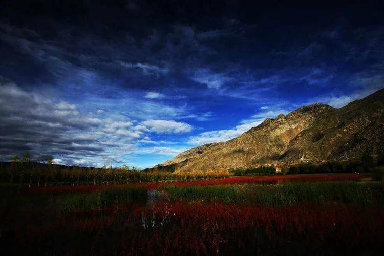 众筹治愈之旅,探索自然美景的冒险启程