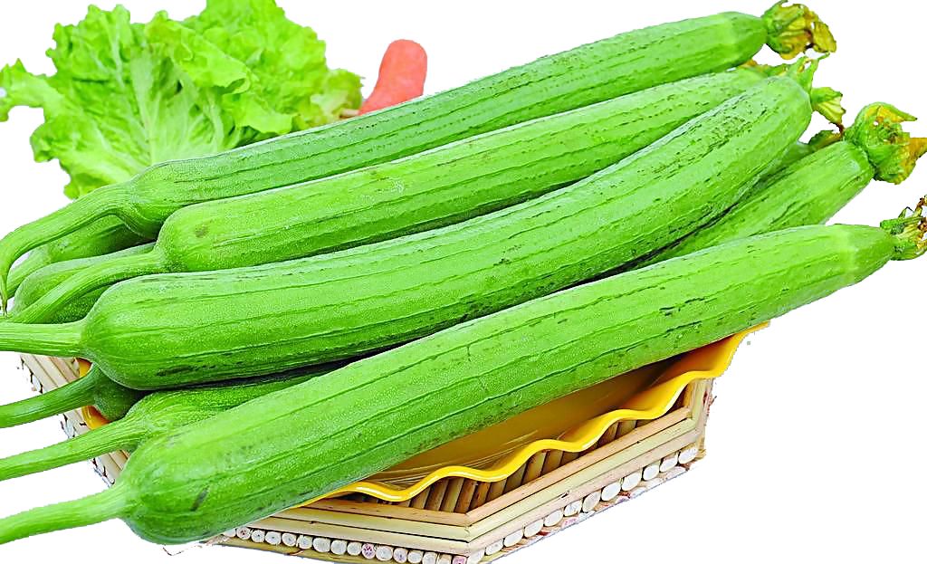 远离色情内容,丝瓜视频官网的合法使用提醒