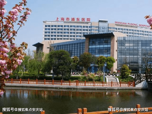 盘县最新动态及观点分析