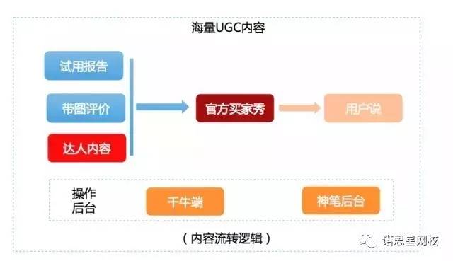 O2O任务完成指南,初学者与进阶用户指南最新解读