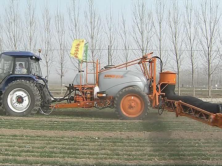 小麦最新价格行情与绿色之旅的心灵平静探寻