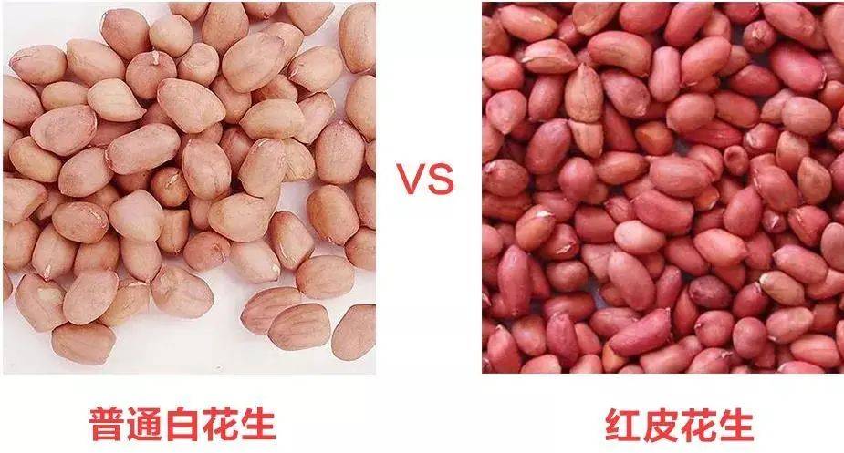 广西花生米最新价格,与自然美景对话,探寻内心平和之旅