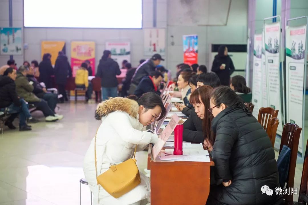 浏阳市区最新招聘信息及动态更新