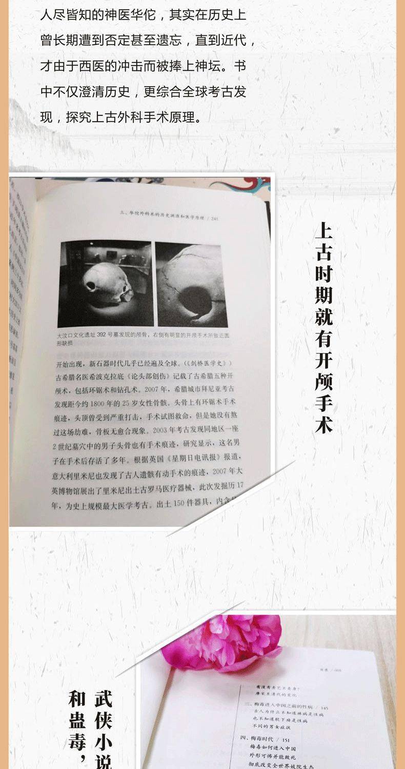 Rhino最新版本,力量变革与内心成就的种子