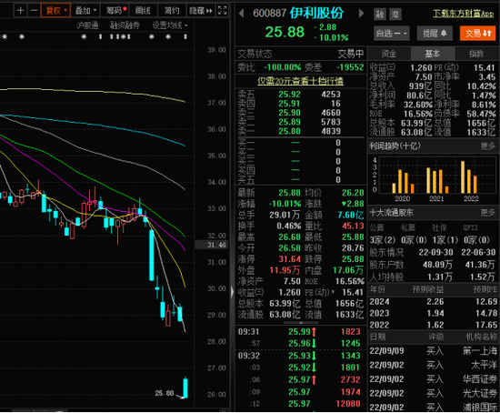 股票最新公告与日常温馨故事交汇点