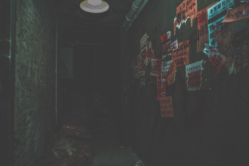 蝴蝶精最新资讯,小巷中的隐秘宝藏探索