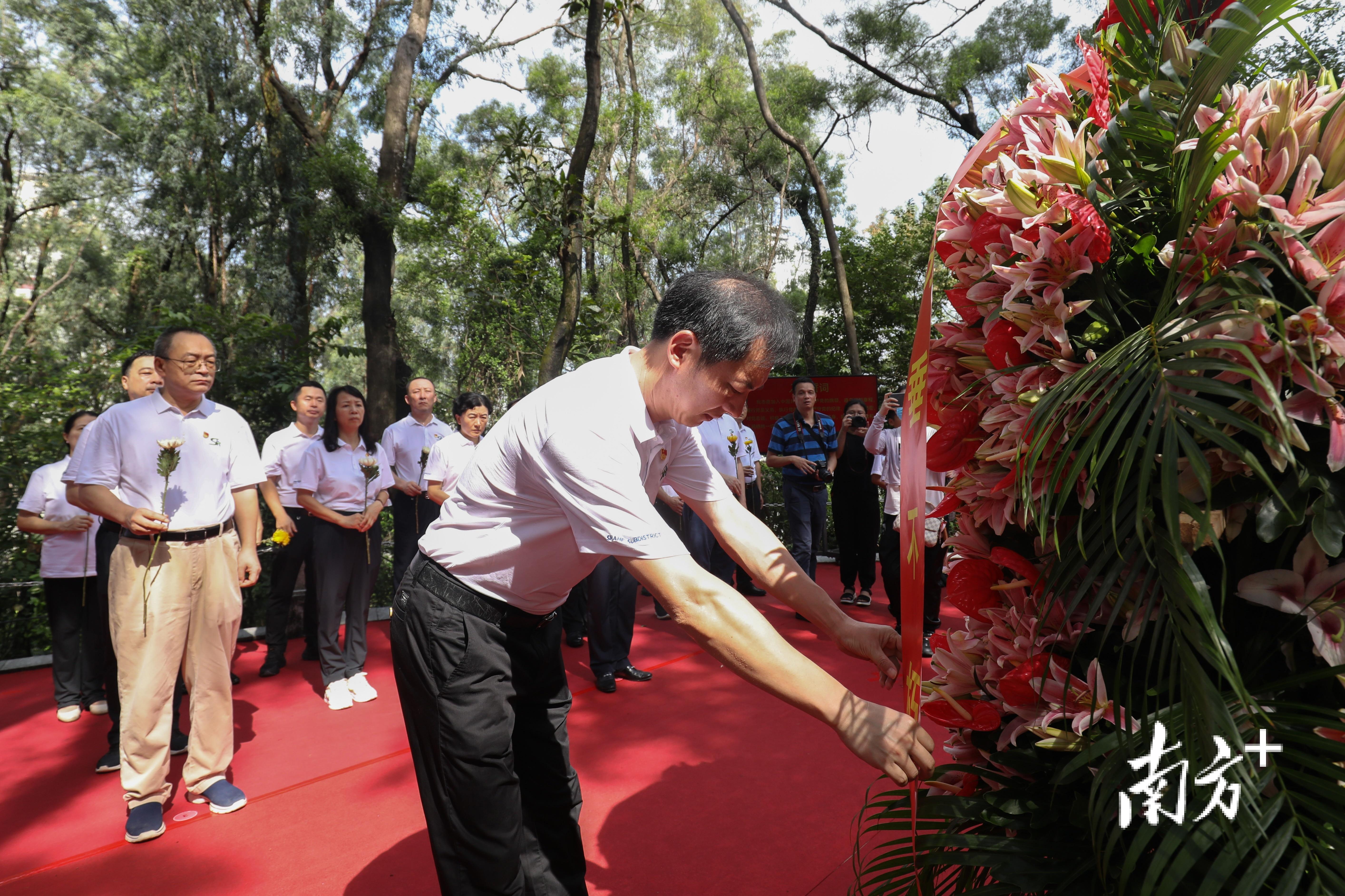 沙河股份最新动态更新,重磅消息汇总