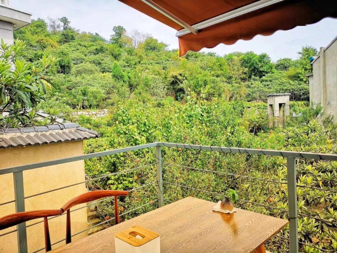 明星私房菜池陌,自然美景背后的旅行启示