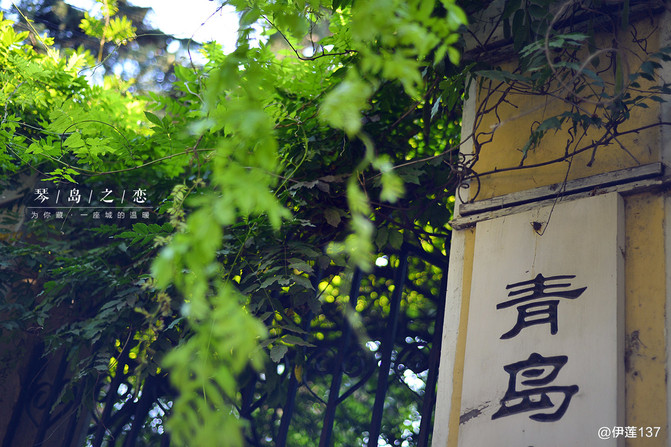 宜昌晋升为省会,日常故事中的温馨时刻