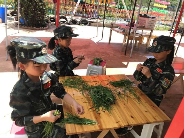 最新自动抢红包软件，学习变化，拥抱自信与成就感的抢红包之旅