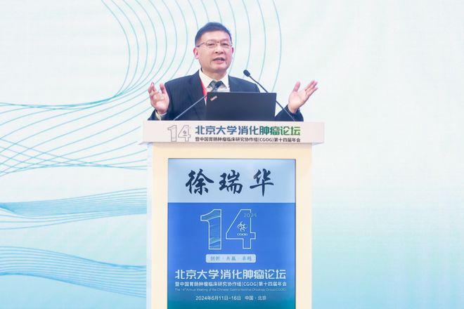 徐京华最新动态深度解析与观点阐述,全方位了解徐京华最新进展