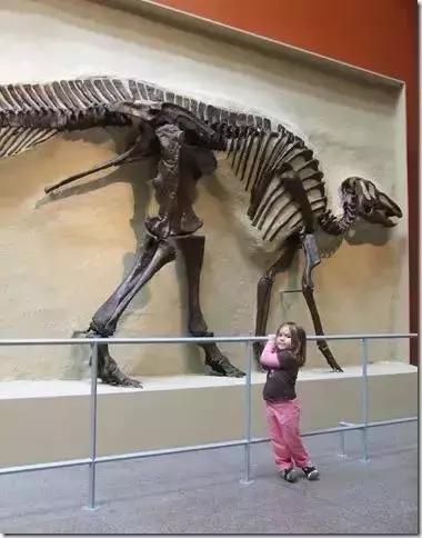 埋雷挂最新,一段温馨有趣的日常故事开启新篇章