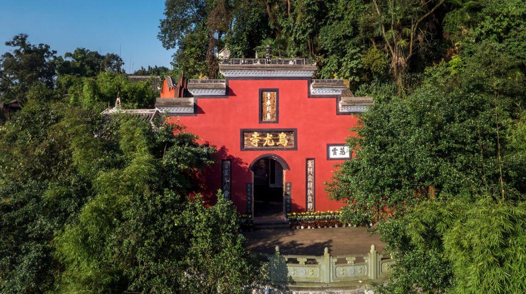 悟空最新版,共舞自然的奇妙之旅