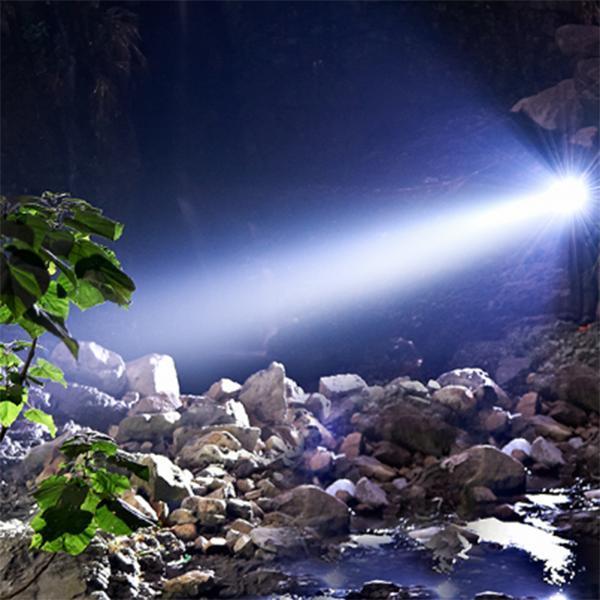 新型投光灯,照亮自然探索之路