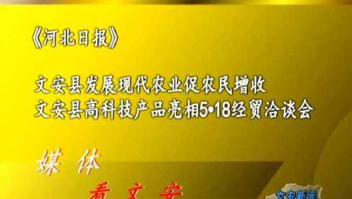 河北文安最新资讯更新快报